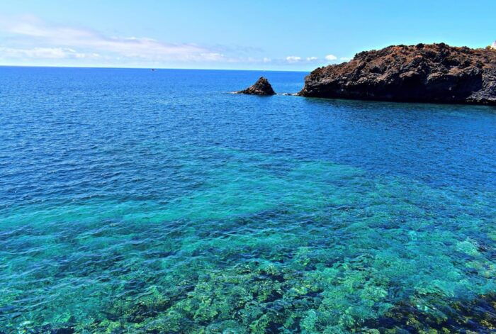 Collective Adventure: Travel & Volunteer in Tenerife - Common Questions