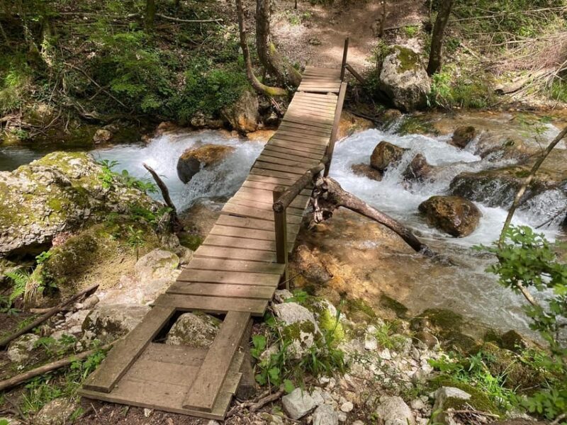 Collepardo: Trisulti Charterhouse and Hermitage Guided Hike - Good To Know