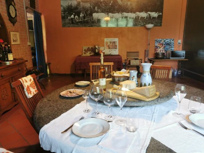 Colli Bolognesi: Exclusive Wine Tour and Tasting - Wine Tasting Experience