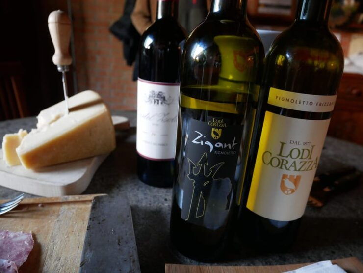 Colli Bolognesi: Wine Tour and Tasting - Experience Overview