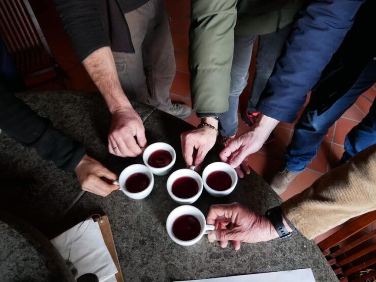 Colli Bolognesi: Wine Tour and Tasting - Wine Tasting Details