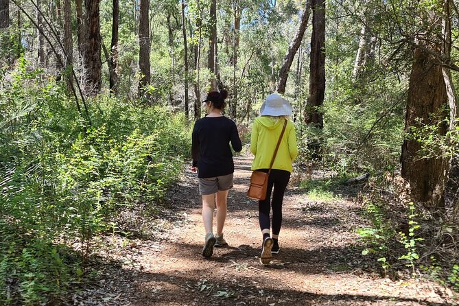 Collie Hike & Paddle Gourmet Grazing Experience - Common Questions