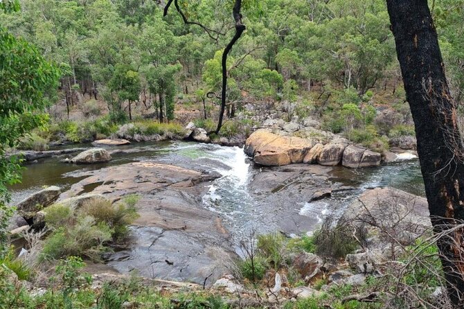 Collie Hike, Wine & Dine Experience - Included Experiences