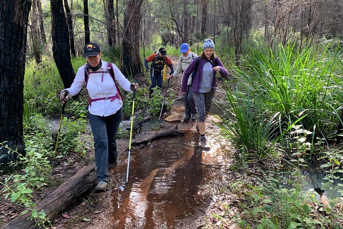 Collie Hike, Wine & Dine Experience - Cancellation Policy
