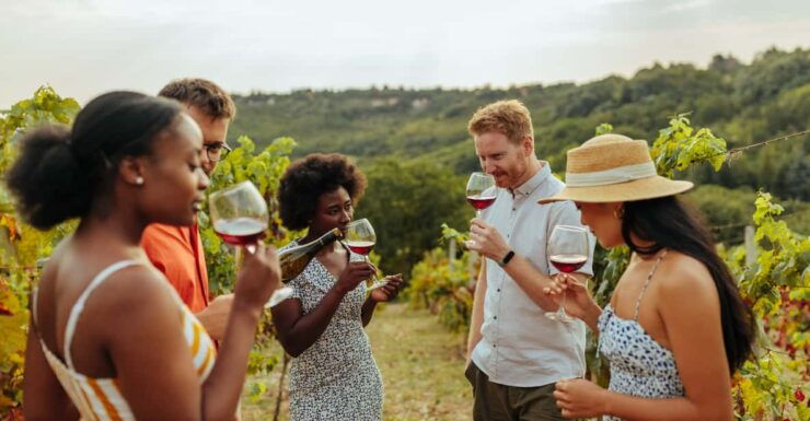 Collingwood: Blue Mountains Wine and Cider Tasting Tour - Experience Highlights