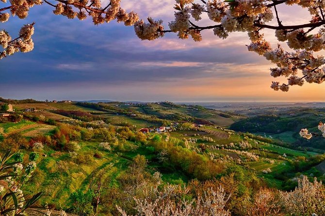 Collio: Cividale Del Friuli and Wine Tastings From Trieste - Visiting Cividale Del Friuli