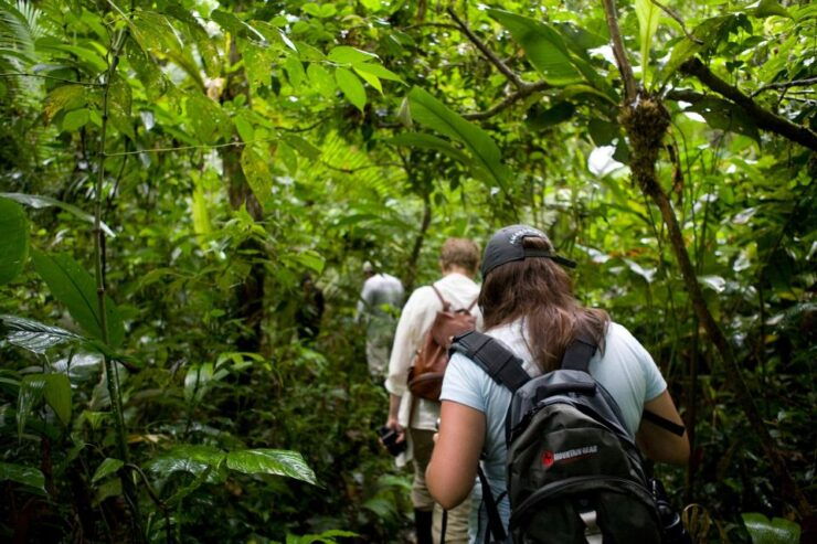 Collpa Guacamayo 2D Excursion Jungle Sunset - Booking Information