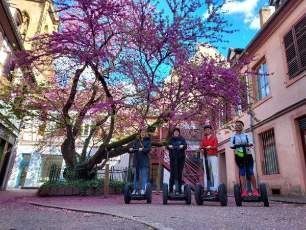Colmar: 2-Hour Segway Tour - The Sum Up