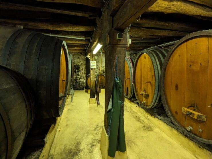 Colmar: Highlights Walking Tour and Wine Tasting - Experience