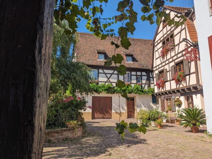 Colmar: Unusual Walking Tour With a Local Guide - Good To Know