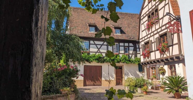 Colmar: Unusual Walking Tour With a Local Guide - Tour Details