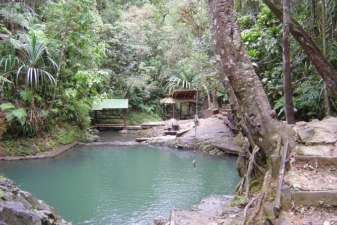 Colo-i-Suva Waterfall Tour (Suva) - What to Expect