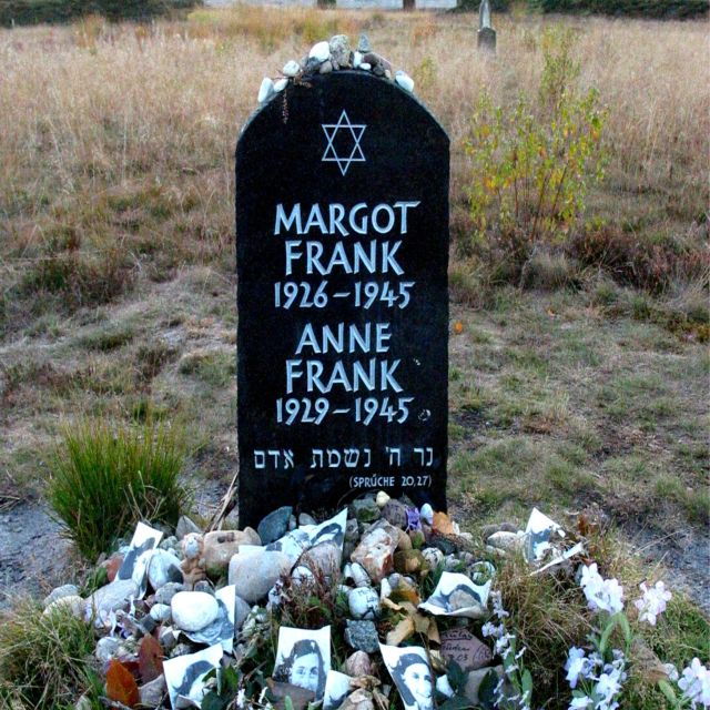 Cologne: Bergen-Belsen Memorial Guided Private Tour - Language Options