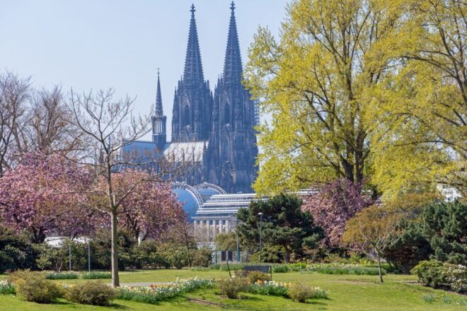 Cologne: City Highlights Segway Tour - Admiring the Hohenzollern Bridge and Love Locks