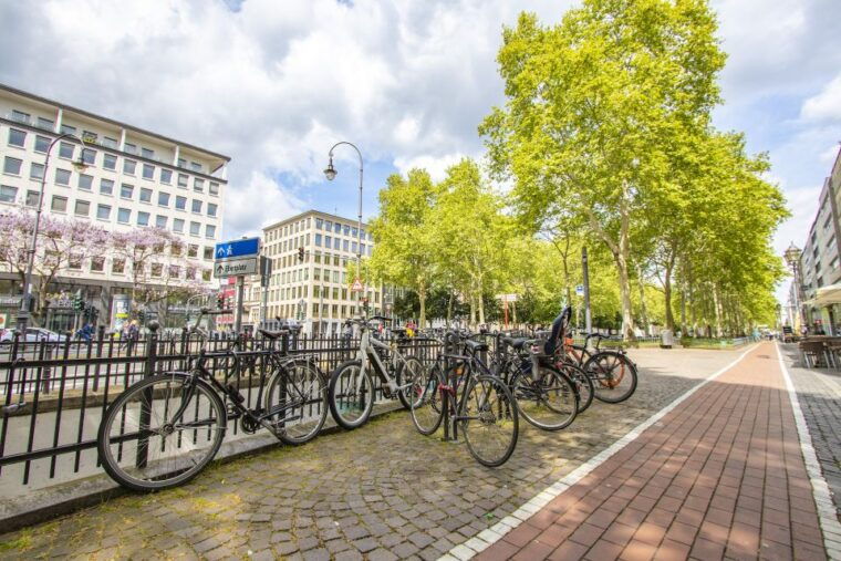 Cologne: Express Walk with a Local in 60 minutes - The Experience in Detail
