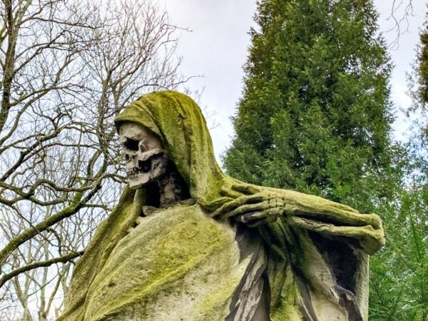Cologne: Guided Tour of Melatenfriedhof - Duration and Availability