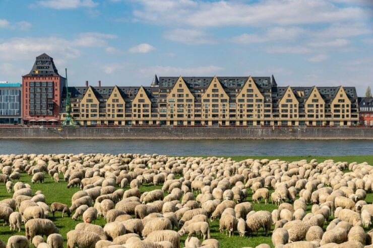 Cologne Highlights Privat Walking Tour & Panoramic Boat Trip - Activity Details