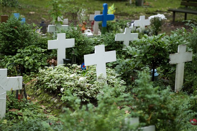 Cologne: Melaten Cemetery With Old Town Private Tour - Questions and Terms