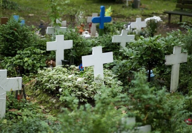 Cologne: Melaten Cemetery With Old Town Private Tour - Guided Tour Option