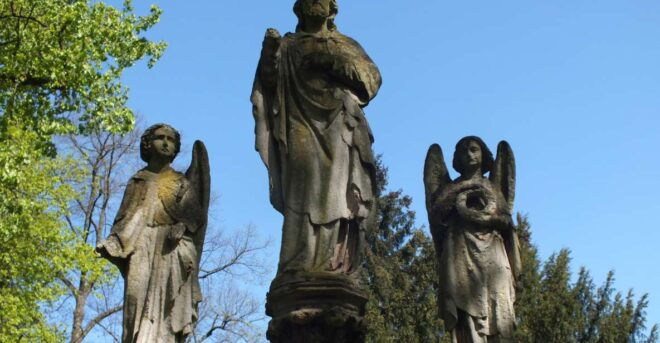 Cologne: The Melaten Cemetery, Life, Love and Death Tour - Inclusions and Accessibility Information