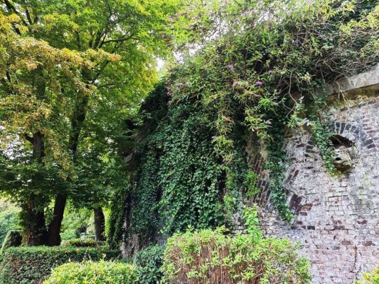 Cologne: Volksgarten Park Smartphone Discovery Game - Experience Details