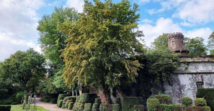 Cologne: Volksgarten Park Smartphone Discovery Game - Booking Information
