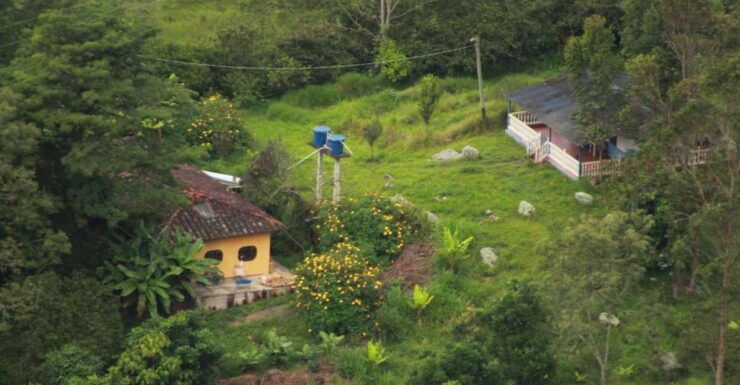 Colombia: Being a Collector of Wild Edible Plants - Good To Know