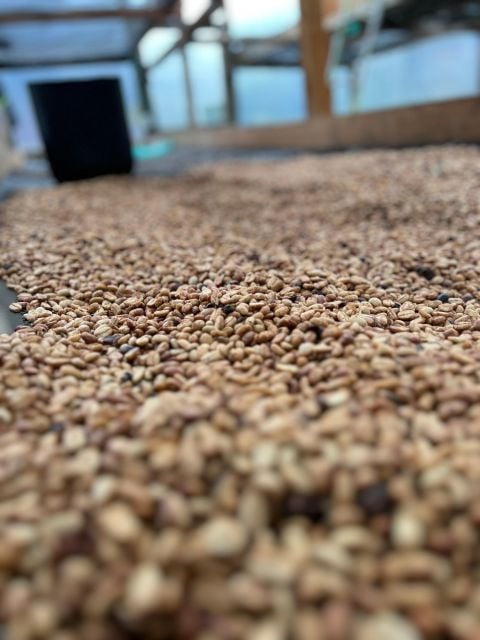 Colombia: Private Coffee Tour - Cancellation Policy Details