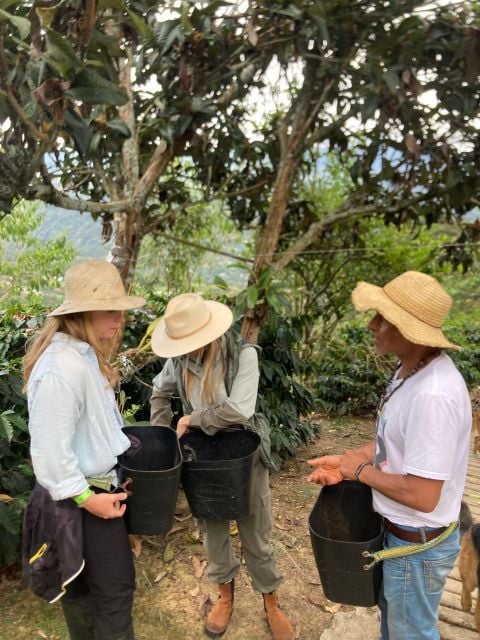 Colombia: Private Coffee Tour - Duration and Scheduling