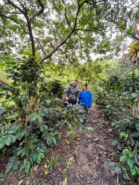 Colombia: Private Coffee Tour - Frequently Asked Questions