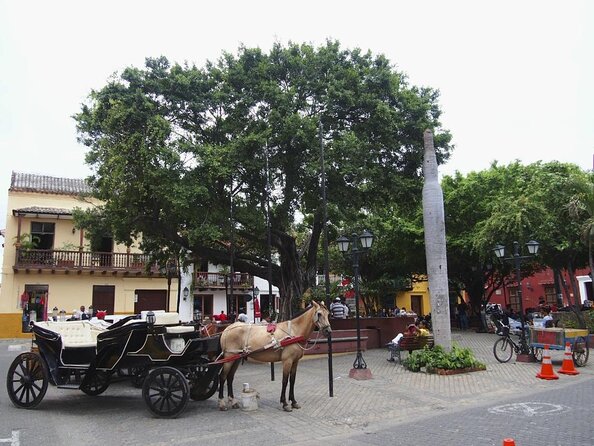 Colombia Small Group Literary Walking Tour  - Cartagena - Tour Inclusions