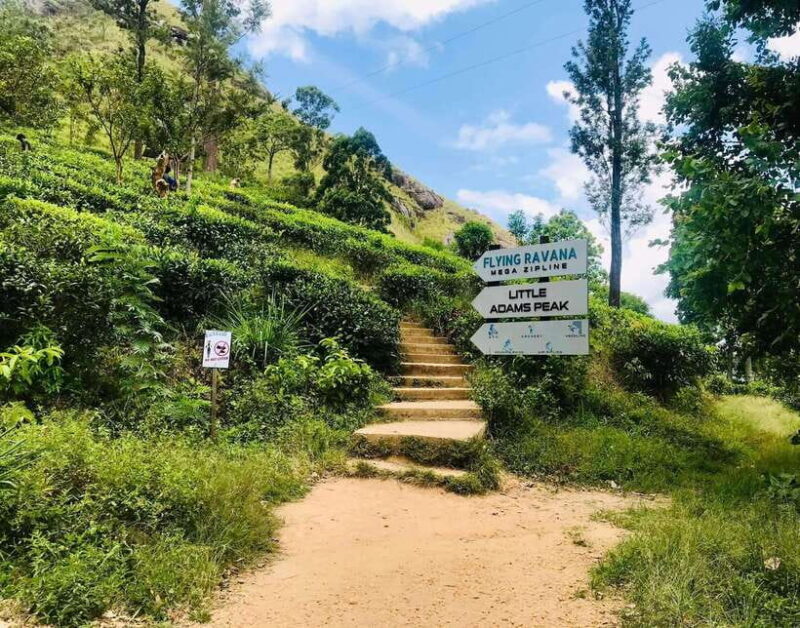 Colombo: 5-Day Hill Country Trekking Itinerary to Ella - FAQ