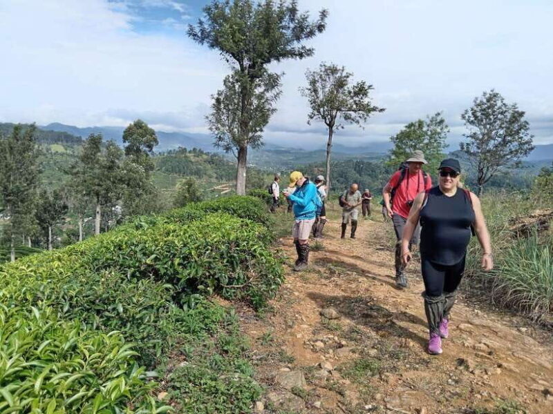 Colombo: 5-Day Hill Country Trekking Itinerary to Ella - Introduction