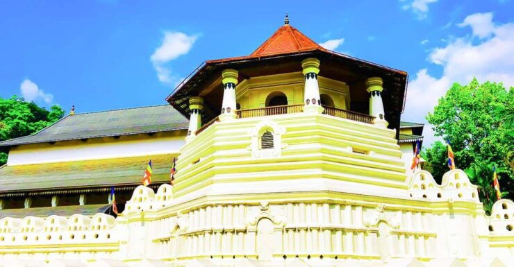 Colombo: 8-Day Private Cultural Triangle & Wildlife Trip - Experience Highlights and Activities