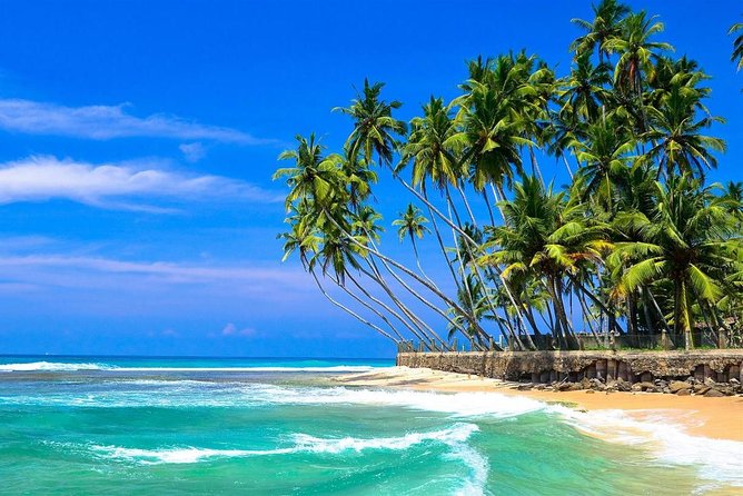 Colombo Airport to Hikkaduwa (Private Arrival Transfer) - Reservation