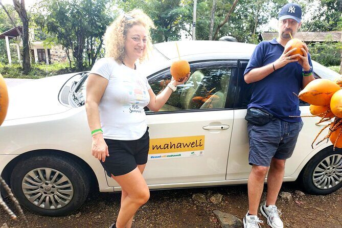 Colombo Airport to Sigiriya and Dambulla Shared Mini Van - What to Expect on the Journey