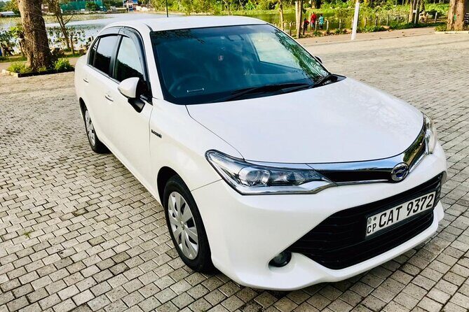 Colombo Airport to Sigiriya and Dambulla Shared Mini Van - Practical Tips for Your Transfer