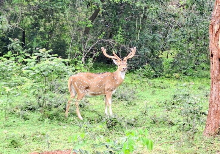 Colombo Airport Tour /06 Days Sri Lanka Tour Package - Good To Know