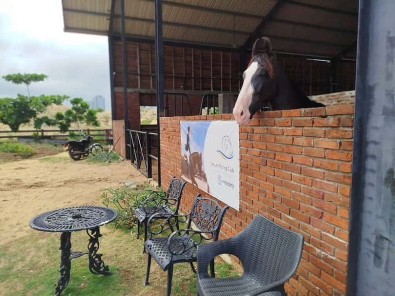 Colombo: Beach Horseback Riding Experience - The ride of a lifetime on Colombo’s beaches