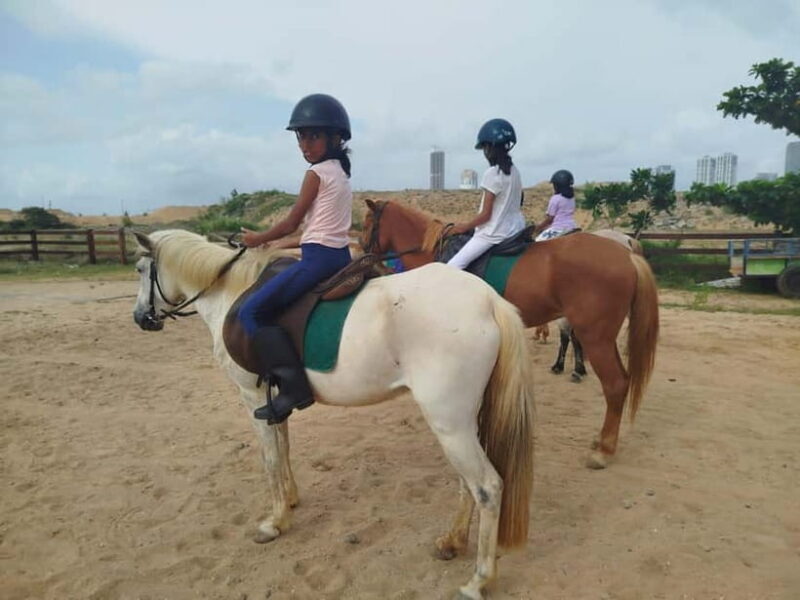 Colombo: Beach Horseback Riding Experience - The horses and safety measures