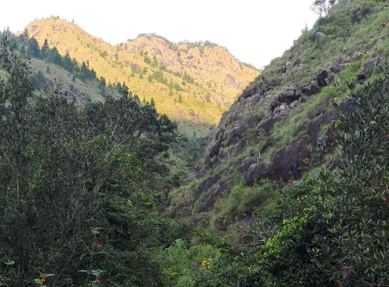 Colombo: Belihuloya Hill Safaris & Kayaking 2-Day Tour - Who Should Consider This Tour?