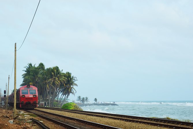Colombo City Private Group Sightseeing and Shopping Tour With Driver - Terms and Conditions