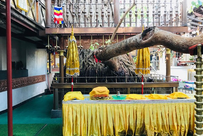 Colombo City Tour - Operator Information