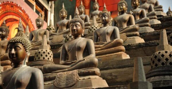 Colombo: City Tour on a Private Car- Full Day & Half Day - Booking Flexibility