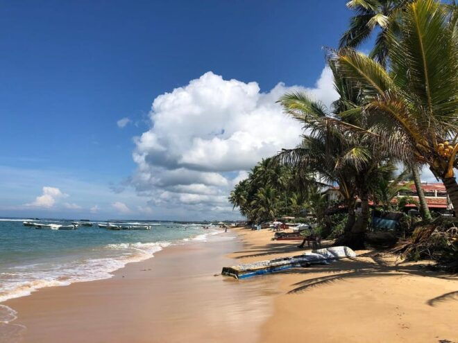 Colombo City Tour With Galle Fort, Bentota River Safari - Inclusions
