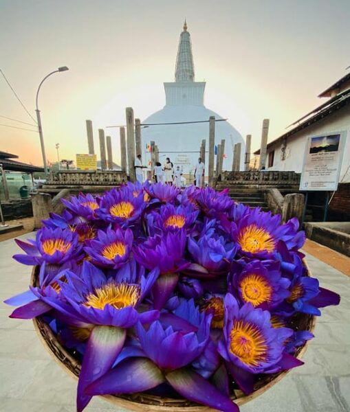 Colombo City Tour With Galle Fort, Bentota River Safari - Travel Tips
