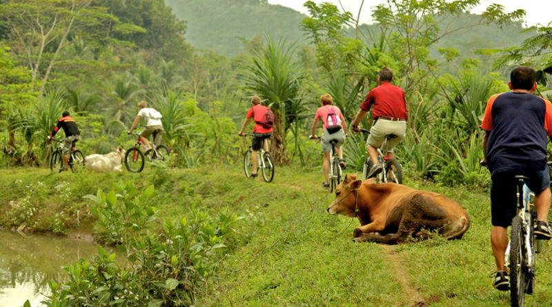 Colombo Countryside Cycling Tour - A change of pace from central Colombo