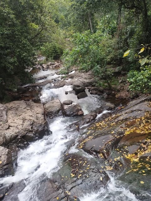 Colombo: Day Trip; Seethawaka Wet Zone Botanical Gardens - Itinerary Details