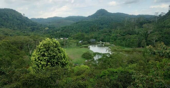 Colombo: Day Trip; Seethawaka Wet Zone Botanical Gardens - Highlights and Experiences