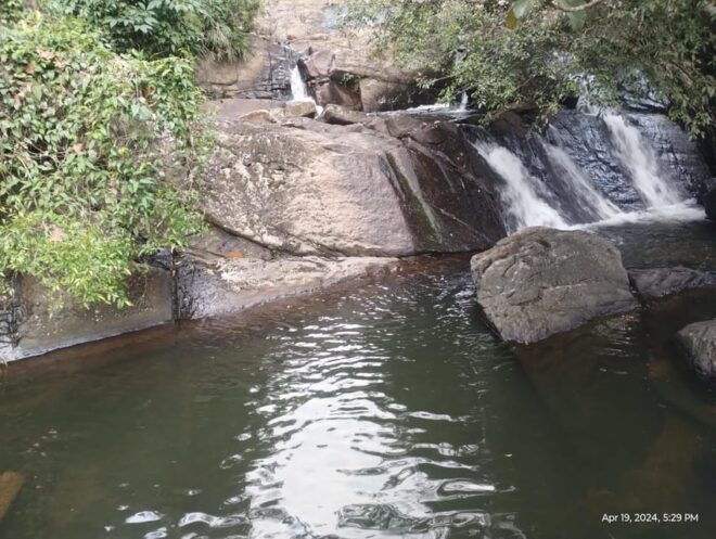 Colombo: Day Trip; Seethawaka Wet Zone Botanical Gardens - Inclusions and Amenities